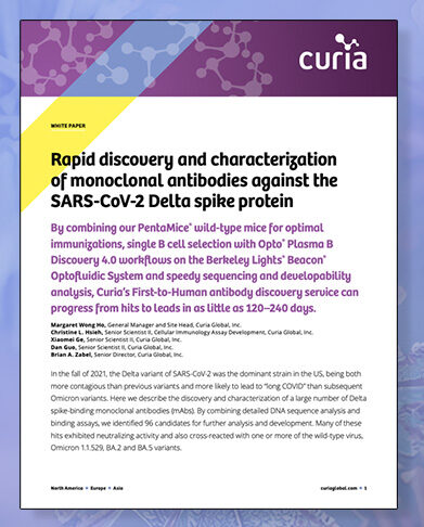 Rapid discovery and characterization of monoclonal antibodies cover