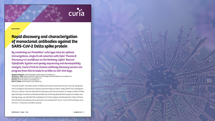 Rapid discovery and characterization of monoclonal antibodies cover