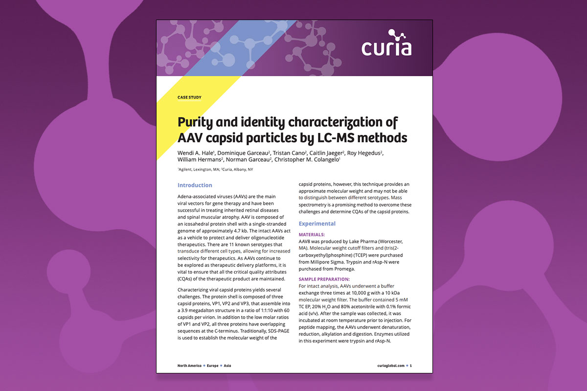 Purity and Identity characterization case study cover