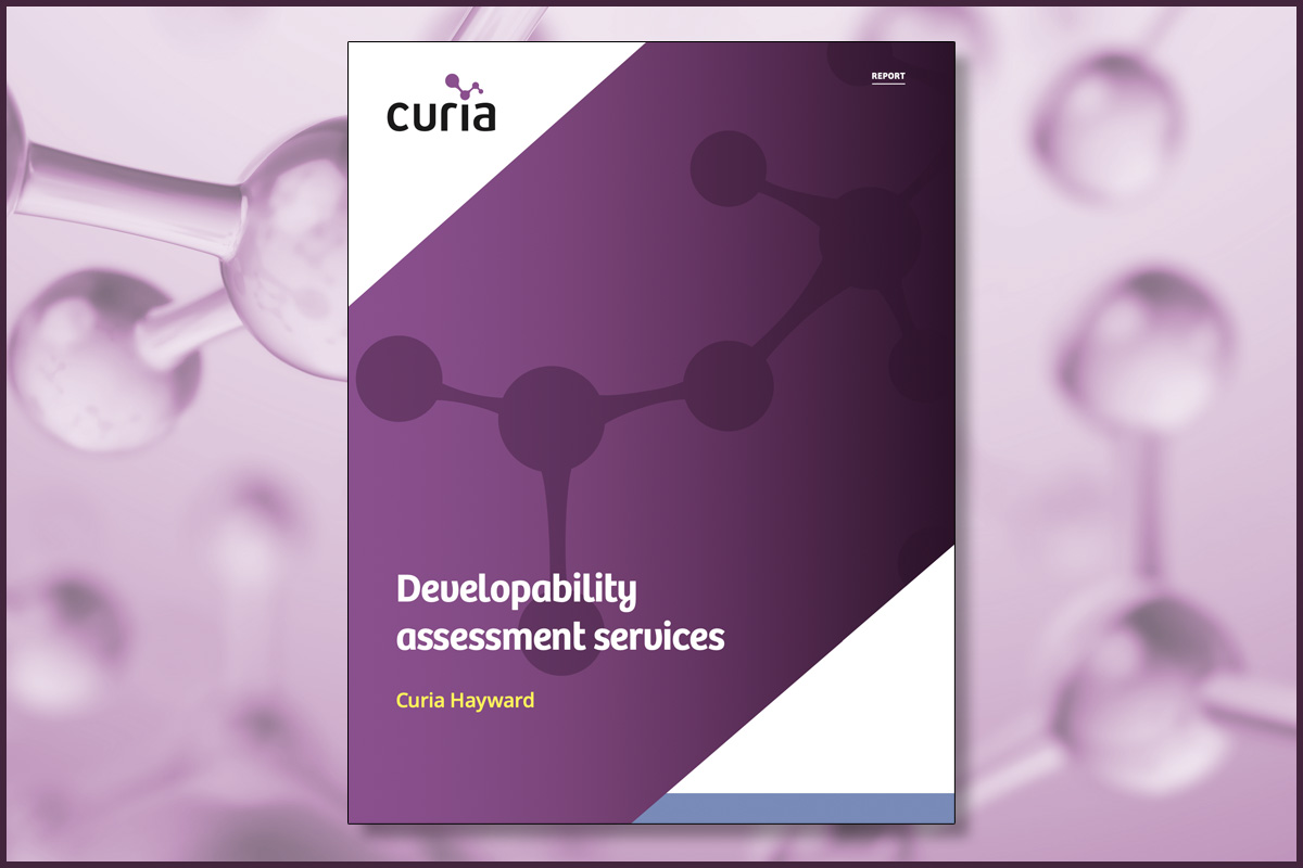 Developability assessment services cover