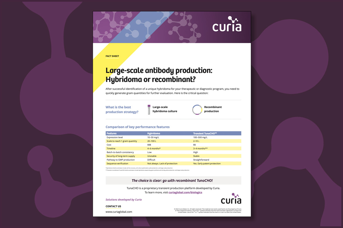 large scale antibody production cover