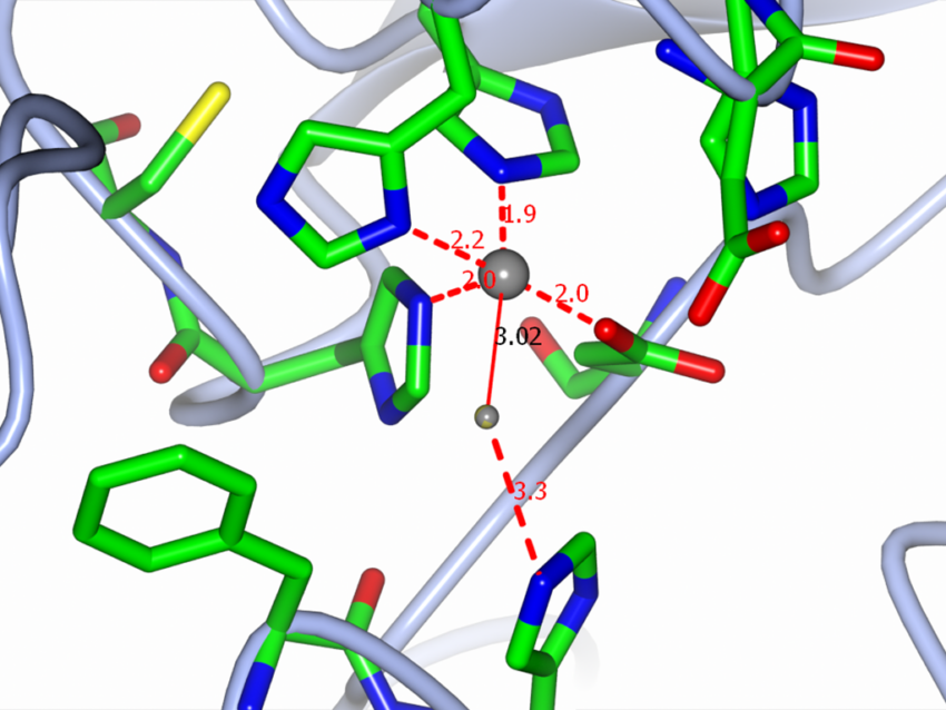 Bio Structures Design Software Structural Biology Services