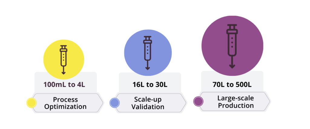 Image showcases the different chromatography columns scales available at Curia for the different stages of drug development, from process optimization to large-scale production.